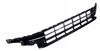 GRIGLIA P/TI ANT C/MODAN CROM VW PASSAT 06/19> EXECUTIVE APERTA