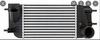 INTERCOOLER NISSAN JUKE(F15)